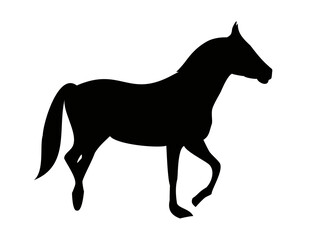 A standing horse is a black silhouette of an animal. The animal raised its front leg.