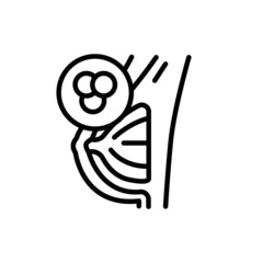 Mastitis line icon. Isolated vector element.