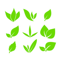 leaf icon