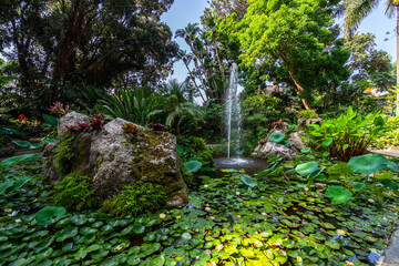 View of La Mortella, a spectacular subtropical and Mediterranean garden at Forio d'Ischia, Italy - obrazy, fototapety, plakaty