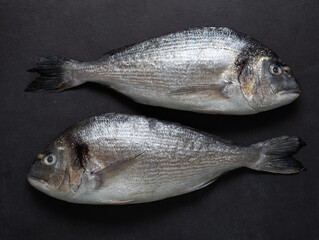 fresh dorado fish