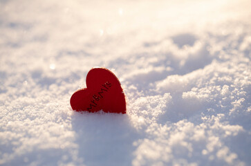 Fototapeta premium Love
