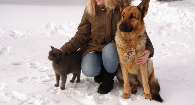 Woman squatting play with a gray cat and dog in a snowy backyard. Pets, comfort, christmas, winter and people concept young woman with cat and dog