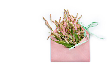 Wildflowers in a pink postal envelope on a white background. A gentle message, the arrival of spring, congratulations concept