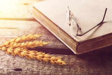 Golden ears of wheat with bible book on the desk