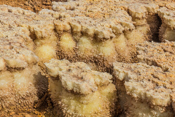 Detail of a volcanic landscape of Dallol, Danakil depression, Ethiopia.