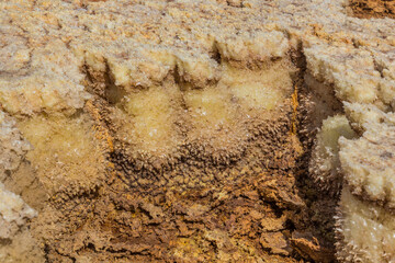 Detail of a volcanic landscape of Dallol, Danakil depression, Ethiopia.
