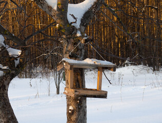 Homemade bird feeder in a winter park. Taking care of animals.