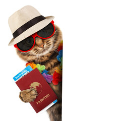 Funny cat with passport and airline ticket.