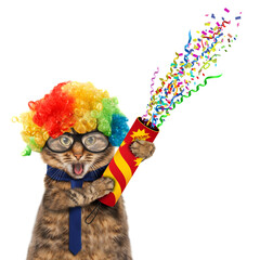 Funny cat is wearing clown's costume and holding a petard. 