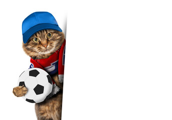 Funny cat with soccer ball on white background. Scarf of France. White space for text. Football theme.