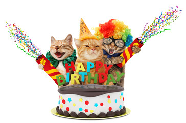 Funny cats with happy birthday cake. They are wearing a party hat, isolated on white background.