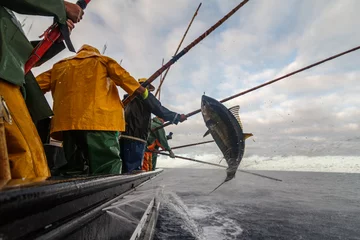 Foto op Canvas De verbazingwekkende tonijnvisserijcultuur die het handelsmerk is van de Azoren en Madeira-archipel, wanneer deze pelagische vissen migreren. Duurzame visserij beoefend met dolfijnveilige garantie © Rui