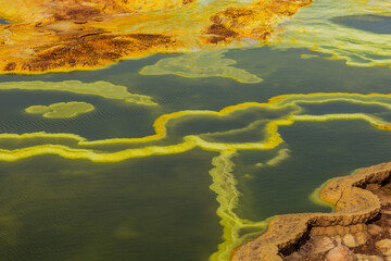 Detail of colorful sulfuric lakes in Dallol volcanic area, Danakil depression, Ethiopia