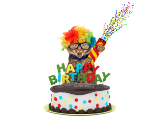 Funny cat with happy birthday cake, wearing a clown's costume, isolated on white background.
