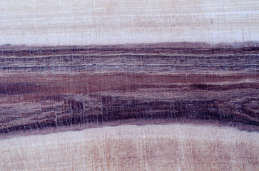 Texture of walnut. Board. Texture elements. Wood texture.