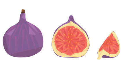 set of figs isolated on white background. a whole fig, a half and a slice of a fig. Exotic fruits. geometric style. veganism. sweet food. flat vector.
