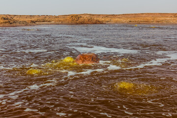 Gaet'ale Pond in Danakil depression, Ethiopia. Hypersaline lake with bubbling gas.