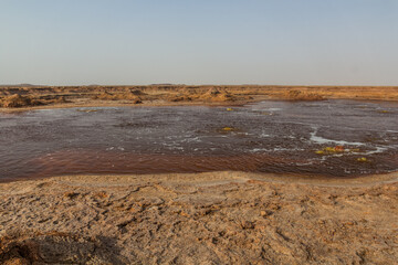 Gaet'ale Pond in Danakil depression, Ethiopia. Hypersaline lake with bubbling gas.