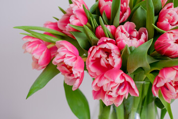 a bunch of pink tulips