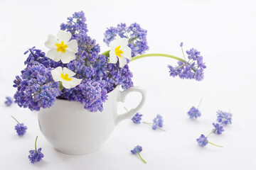 A small cozy spring bouquet with blue muscari and primroses. Home decoration,bouquet for mood on a white background