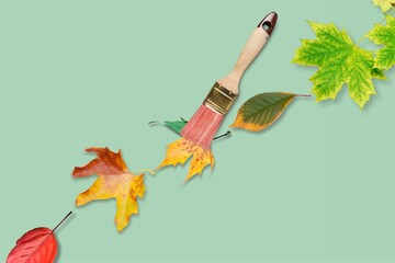 Creative Autumn concept of leaf and Painting brush is the answer to the change of seasons.