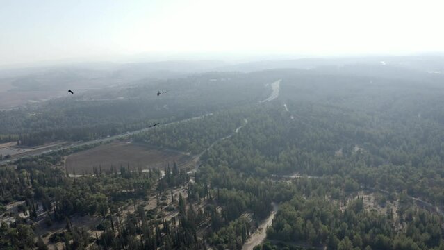 
Lesser spotted eagles soaring over Ben shemen forest,aerial 
Drone view, autumn migration, Israel
