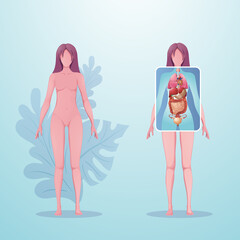 Scanning of female body. Ultrasound of internal human organs. Anatomy diagram. Cartoon vector. Front view. Realistic illustration, template for medical, educational poster, banner, infographic.