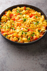 Anda Bhurji is an Indian Style Spicy Scrambled Eggs closeup in the plate on the table. Vertical