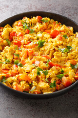 Egg bhurji is a scrambled eggs dish which is a popular Indian street food and a breakfast, lunch or dinner recipe closeup in the plate on the table. Vertical
