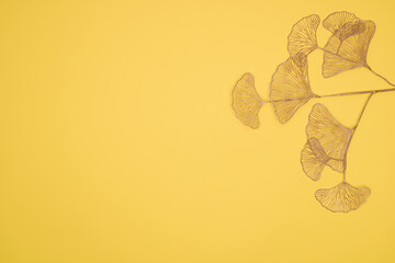 Ginkgo biloba leaves on bright yellow background. Botanical illustration Floral background Luxury...