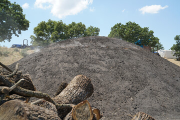 Wood coal. Traditional way of wood charcoal production. Charcoal for igniting fire in a grill.           