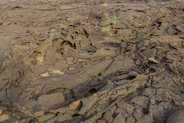 Lava fields at Erta Ale volcano in Afar depression, Ethiopia