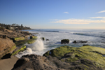Obraz premium Windansea Beach in La Jolla, San Diego