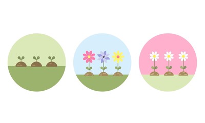 Vector set with three flat and simple illustrations with three sprouts, three different flowers and three white flowers. 