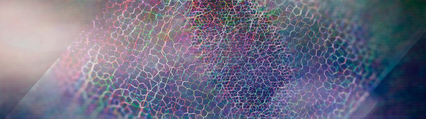 abstract composition of a mesh multicolored structure in light glare, 3d render, blurred image