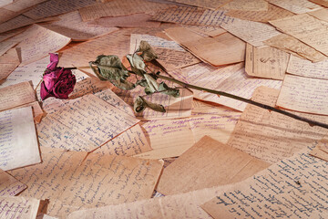 Withered red rose lying on a pile of old letters