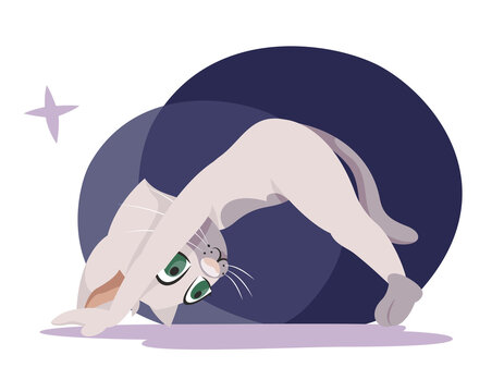 Cat doing yoga. Anthropomorphic animal in cartoon style