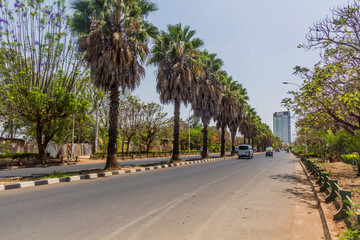 Fototapeta premium Palm lined avenue in Bahir Dar, Ethiopia
