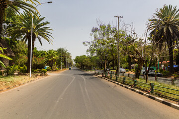 Palm lined avenue in Bahir Dar, Ethiopia