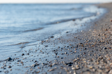 Fototapeta na wymiar sandy beach dotted with small shells against the background of transparent sea water