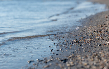 sandy beach dotted with small shells against the background of transparent sea water