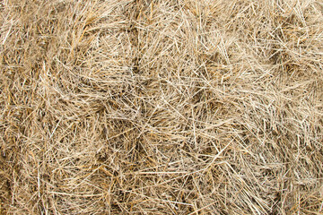 Close-up view of hay bales are stacked in large stacks. Natural background.