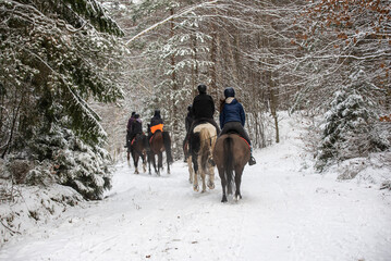 Winter horseback riding through the forest