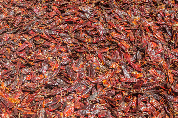 Drying chilli peppers in Ethiopia