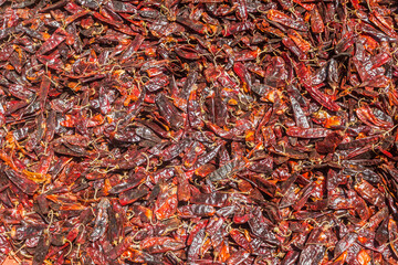 Drying chilli peppers in Ethiopia