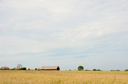 agricultural landscape with a barn and sky at visings&ouml; in sweden