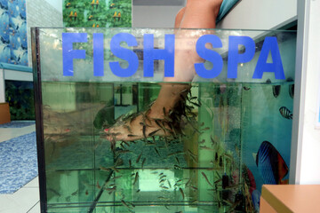 Fish Spa pedicure Rufa Garra treatment. Feet and fish in blue water. Closeup, selective focus. Skin care treatment