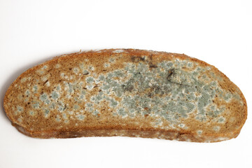 A piece of bread covered with mold. White background.