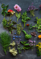 Natural culinary herb collection on dark background
